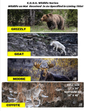 Load image into Gallery viewer, Grizzly Gun Cleaning Mat - Wild Grizzly Bear in 4 Color Splendor 12x36 inches Compatible All Series Rifle 3mm Padded Pad Protects Your Firearm Magazines Bench Table Surfaces Oil Solvent Resistant