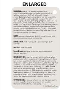 Bushlore Wild Medicinal & Plant Cards - 25 Pocket Size North America Field Guide Book Natural Herbal Herbs Remedies Emergency Survival Disaster Preparedness Bushcraft Kit Backpack Camping Waterproof