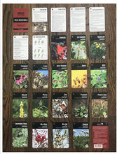 Load image into Gallery viewer, Bushlore Wild Medicinal &amp; Plant Cards - 25 Pocket Size North America Field Guide Book Natural Herbal Herbs Remedies Emergency Survival Disaster Preparedness Bushcraft Kit Backpack Camping Waterproof
