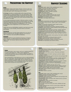 Bushlore Wild Edible Plants Cards Volume 3 - 20 Pocket Field Guide Emergency Survival Kit Disaster Camping Preparedness Card EDC Backpack Wallet Ultimate Tiny Waterproof Food Source Tool Find Identify