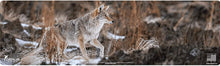 Load image into Gallery viewer, EDOG Stalking Coyote Wildlife Magnum XXL Schematic (Exploded View) Heavy Duty XXL Magnum Rifle Cleaning 12”x48” Padded Gun-Work Surface Protector Mat Solvent &amp; Oil Resistant &amp; 4 Pc Cleaning Essentials